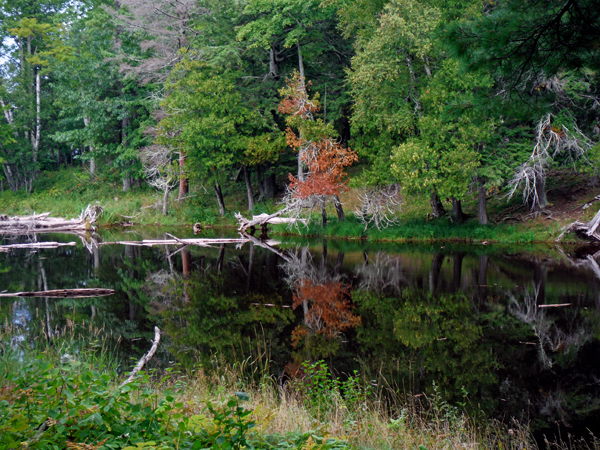reflections in Presque Isle River